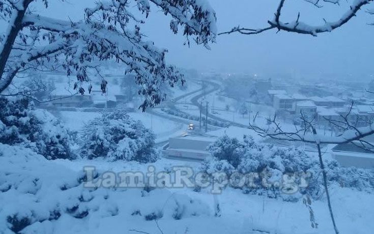 Η Λαμία ντύθηκε στα λευκά