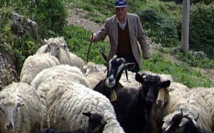Την Τρίτη οι αποζημιώσεις του ΕΛΓΑ σε 1.081 δικαιούχους κτηνοτρόφους