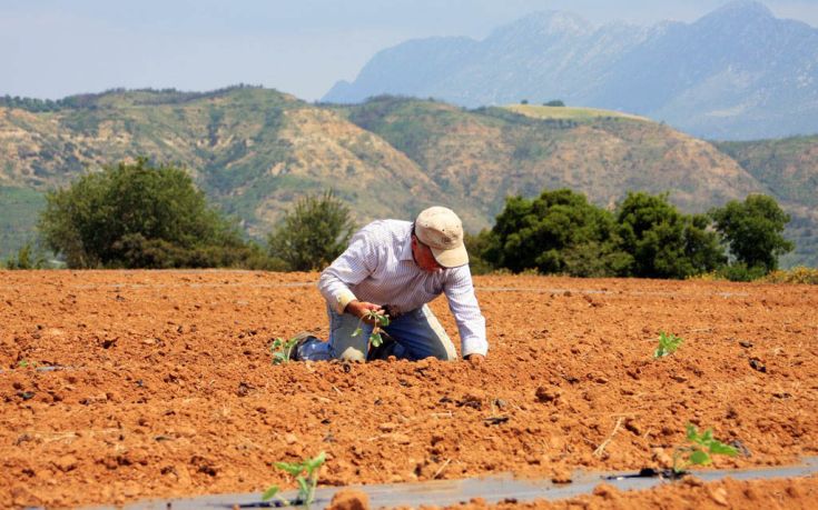 Φορο-παγίδα σε αγροτικά εισοδήματα