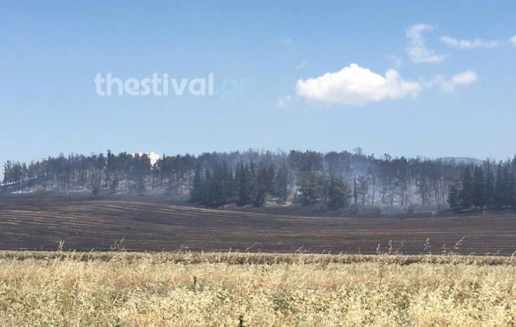 Σε εξέλιξη πυρκαγιές σε ανατολική και δυτική Θεσσαλονίκη