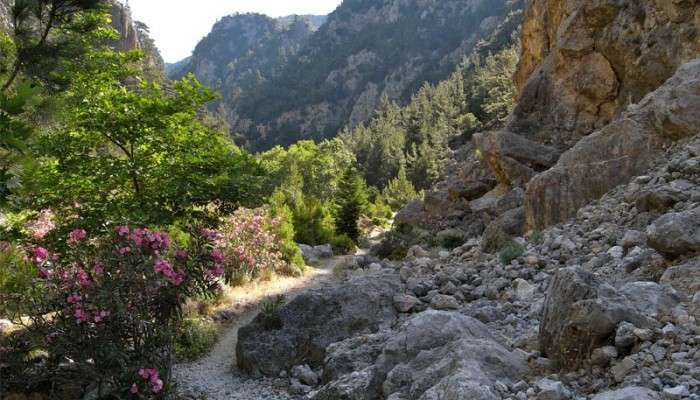 Τραυματίστηκε τουρίστας στο φαράγγι της Αγίας Ειρήνης στα Χανιά