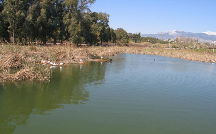 «Η αδιαφορία σκοτώνει την άγρια ζωή στο Πάρκο Τρίτση»