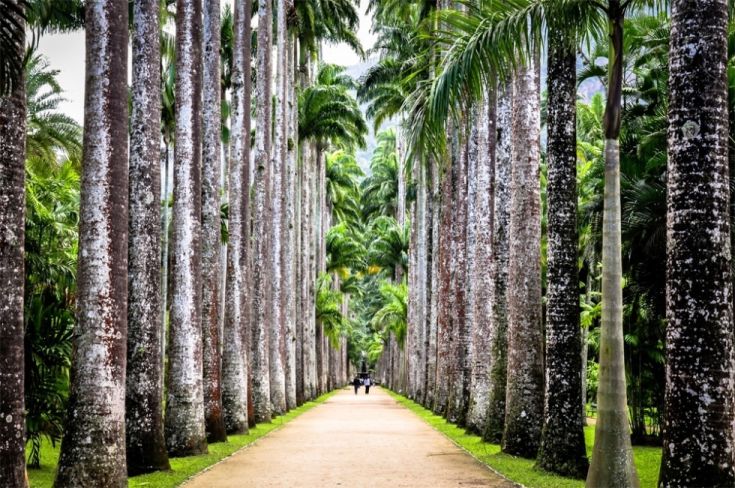 Rio-de-Janeiro-Garden5-980x651