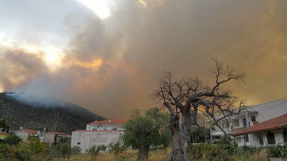 Κάηκαν σπίτια στη Θάσο