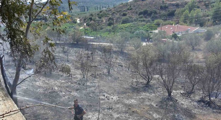 Κινδύνεψε από πυρκαγιά το σπίτι της αδελφής της Φώφης Γεννηματά