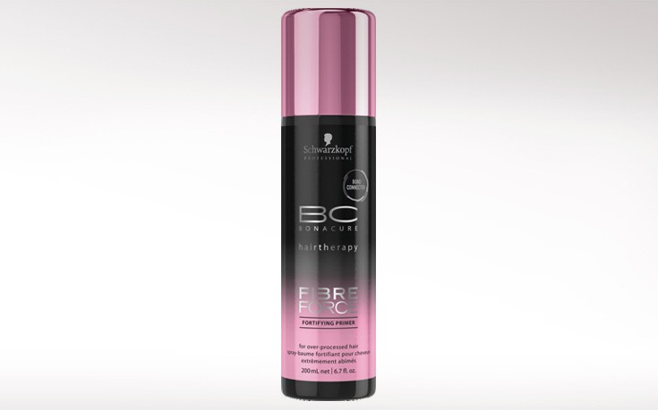 schwarz-2-primer schwarz-2-primer