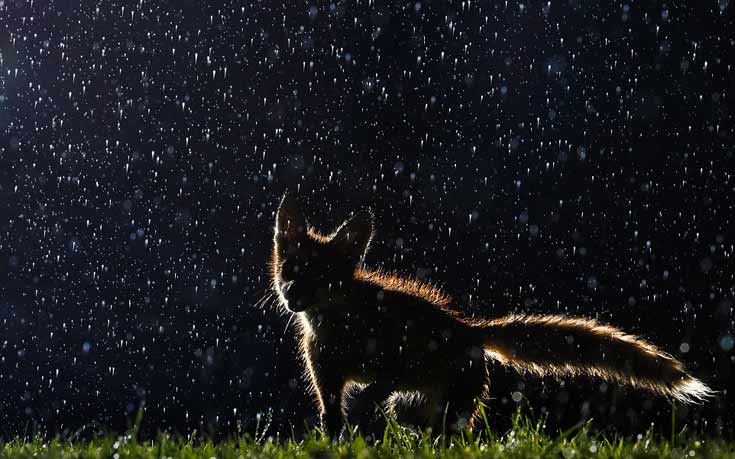 Ο κόσμος μας μέσα από το καλειδοσκόπιο του National Geographic