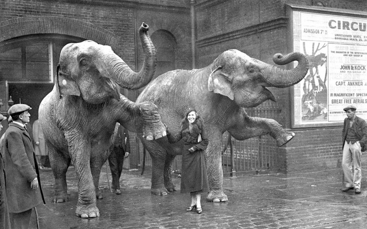 raayppyttniini5 raayppyttniini5