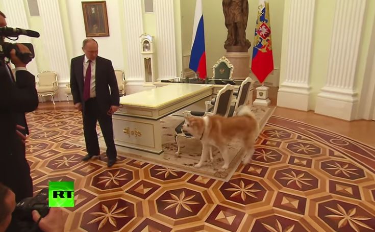 Ο σκύλος του Βλαντίμιρ Πούτιν που έκλεψε την παράσταση