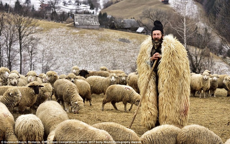 sonyastewa2 sonyastewa2