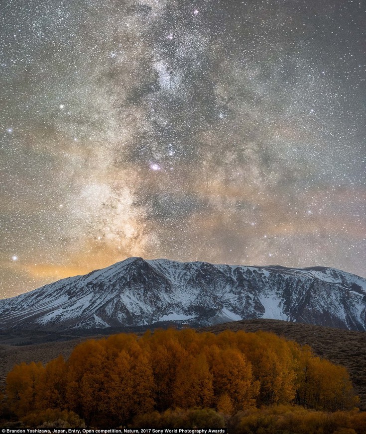 sonyastewa4 sonyastewa4