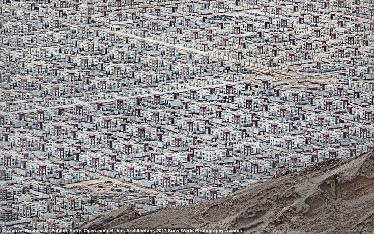 sonyastewa6 sonyastewa6