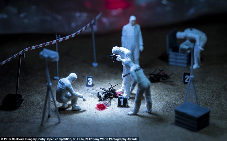 sonyastewa9 sonyastewa9