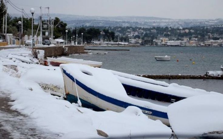 Το χιόνι έφτασε μέχρι το κύμα στη Φθιώτιδα