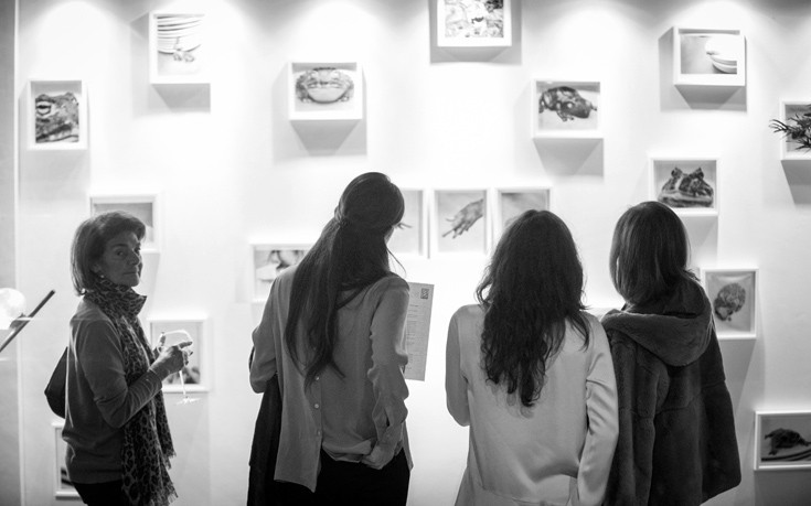 ftgrekthD4S1461 ftgrekthD4S1461