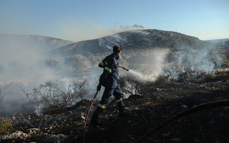 Υπό πλήρη έλεγχο η φωτιά στα όρια των νομών Χανίων και Ρεθύμνου