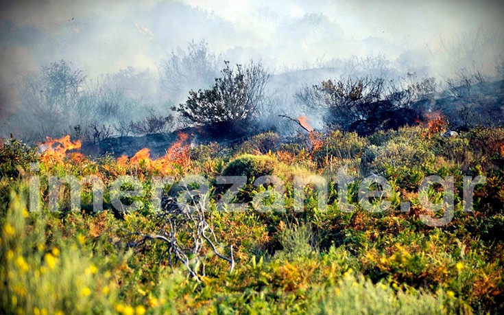 Μεγάλη φωτιά σε εξέλιξη σε χωριό της Ζακύνθου