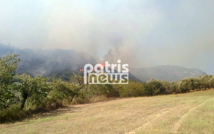 Φωτογραφίες και βίντεο από την πυρκαγιά στο Γεράκι Αμαλιάδας