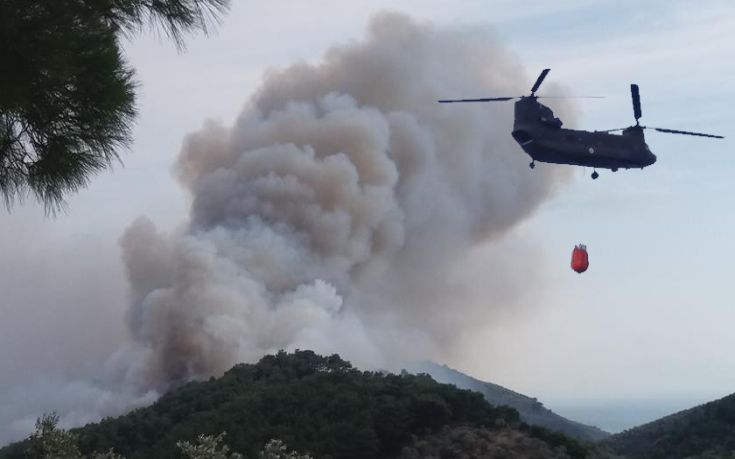 Υπό πλήρη έλεγχο η πυρκαγιά στη Μυτιλήνη