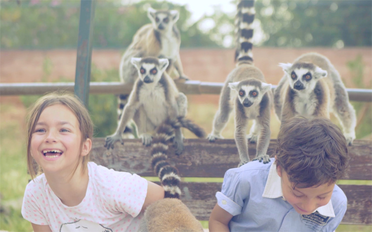 atticapark6 atticapark6