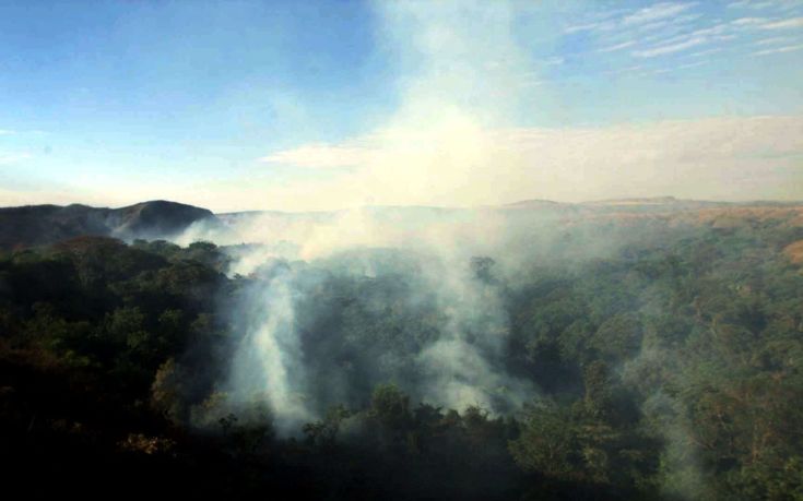 Μεγάλη φωτιά καταστρέφει προστατευόμενο πάρκο με απειλούμενα είδη στη Βραζιλία