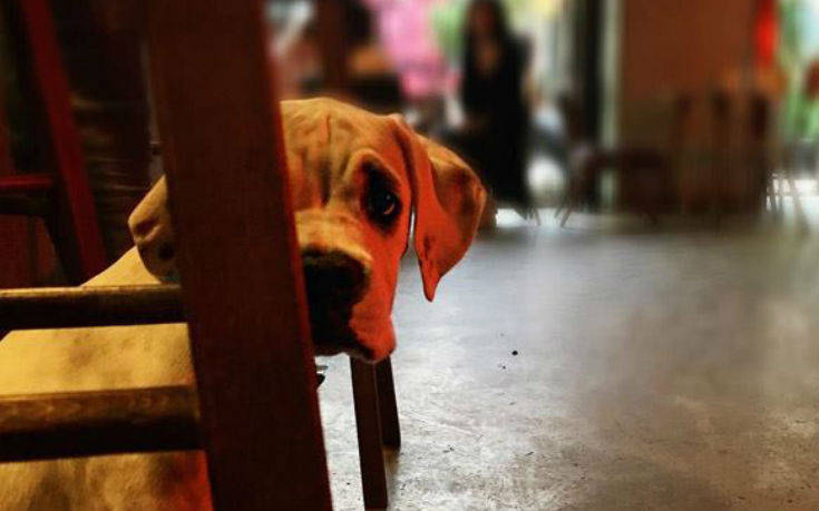 barrett_ok barrett_ok