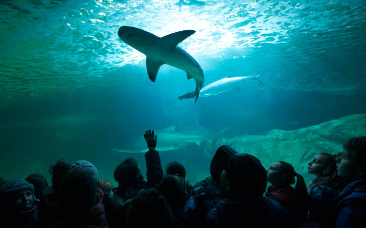 AP_17347743981500 AP_17347743981500