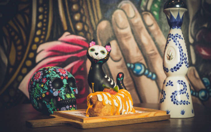 elcatrinok elcatrinok