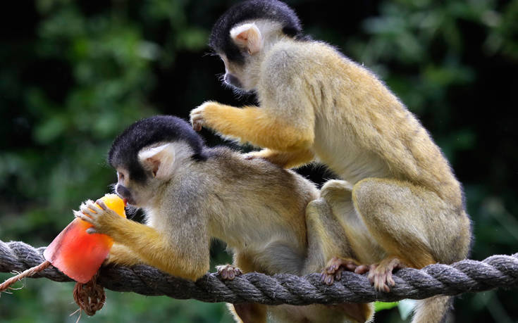 18178370825393 18178370825393