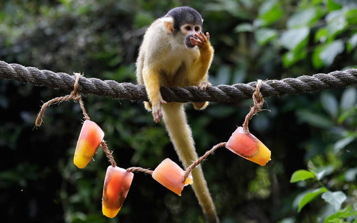 18178371033601 18178371033601