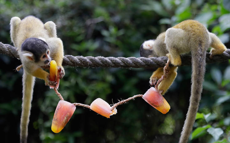 18178371283585 18178371283585