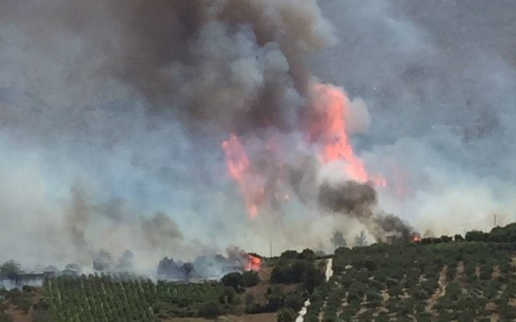 Απειλεί σπίτια η φωτιά στον Αποκόρωνα Χανίων