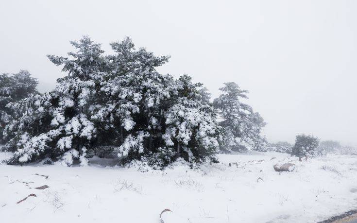 Στα άσπρα οι νομοί της Μακεδονίας