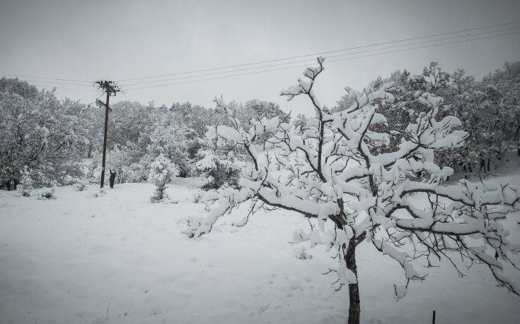 Σε ετοιμότητα οι αρχές στη Λάρισα για χιονοπτώσεις