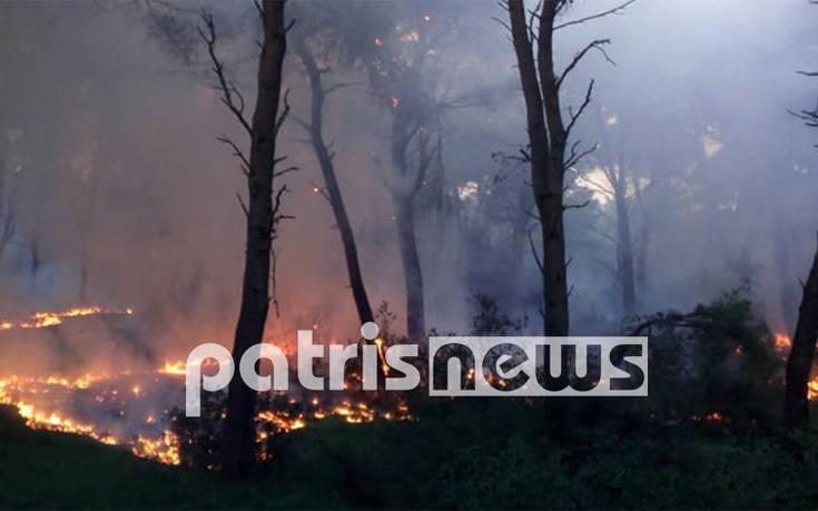 Εικόνες από τη φωτιά που κατακαίει το δάσος της Στροφυλιάς