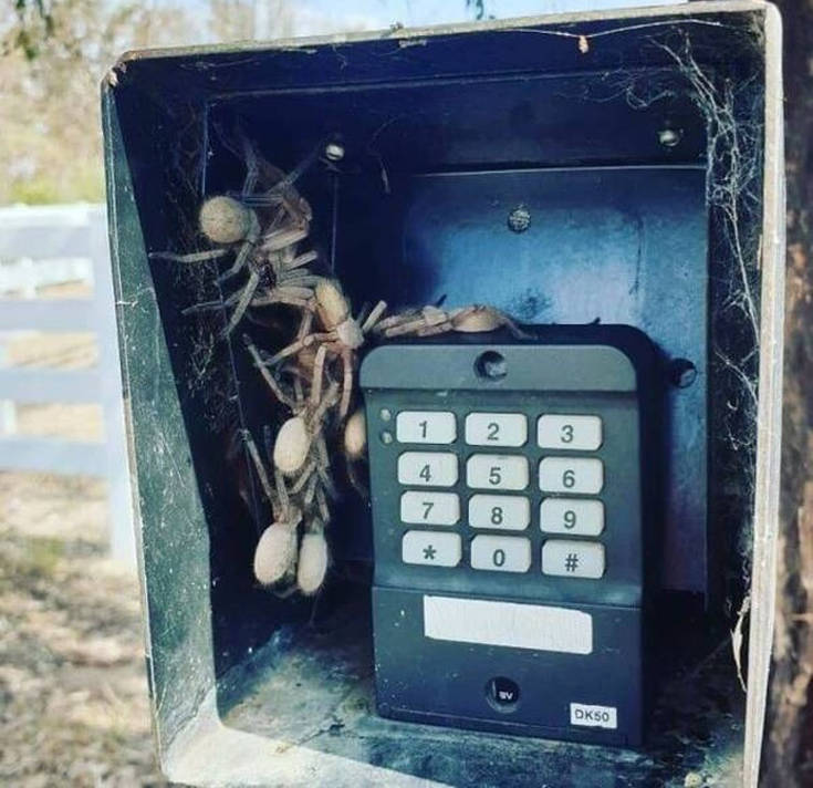 Πώς καταλαβαίνεις ότι βρίσκεσαι στην Αυστραλία