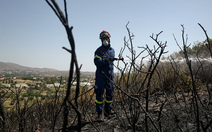 Συνελήφθη 41χρονος για πέντε φωτιές σε Μεσσηνία και Αρκαδία