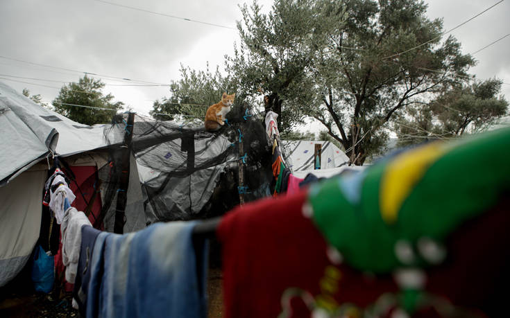 Κορονοϊός: Φόβοι για ανεξέλεγκτη μετάδοση στη Μόρια &#8211; Τι ζητάει ο ΣΥΡΙΖΑ