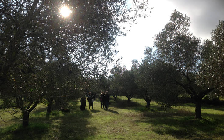 Το «Λάδι Πυργαδικίων» κυρίαρχο θέμα του promo tour του KOUZINA 2020