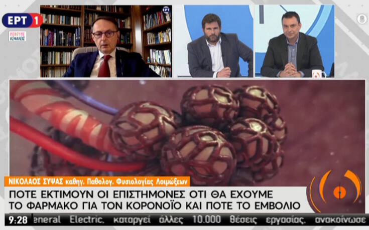 Νίκος Σύψας: Θα κάνουμε καλοκαιρινά μπάνια αλλά με ασφάλεια &#8211; Πότε θα ληφθεί η απόφαση για τα δημοτικά