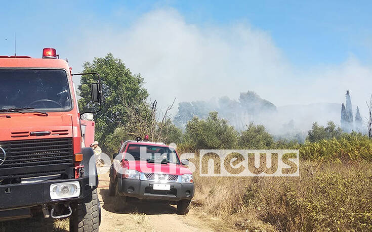 Φωτιά τώρα στις Ράχες Ανδρίτσαινας &#8211; Κρεστένων