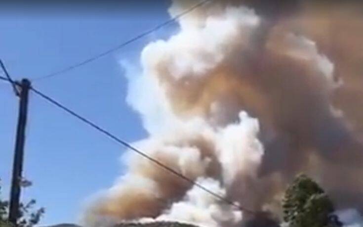 Φωτιά στη Μάνη: Εκκενώνονται προληπτικά τρεις οικισμοί