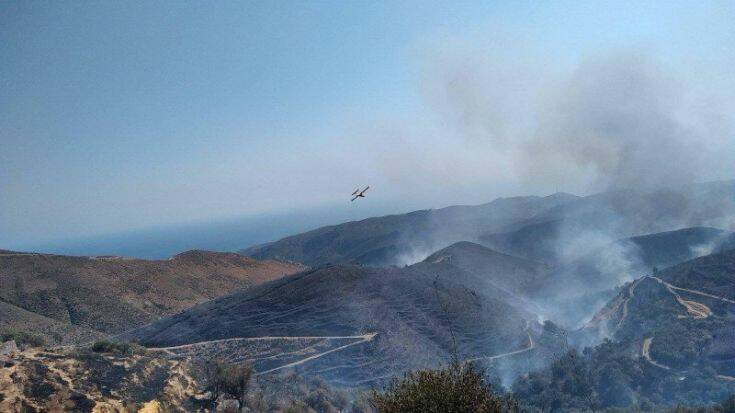 Φωτιά στα Χανιά: Μεγάλη δύναμη της πυροσβεστικής στο σημείο – Άνεμος και δύσβατη περιοχή δυσχεραίνουν την κατάσβεση