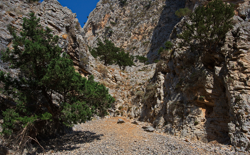 Σοκαριστικό βίντεο από το φαράγγι της Σαμαριάς: Η στιγμή που η τουρίστρια φώναζε για βοήθεια – «Της έκαναν ΚΑΡΠΑ και είχε αίματα»