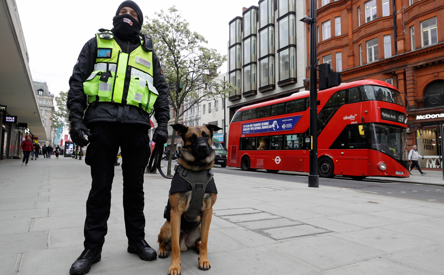 Εκπαιδευμένα σκυλιά μυρίζουν τον κορονοϊό &#8211; Τι δείχνει έρευνα στη Βρετανία