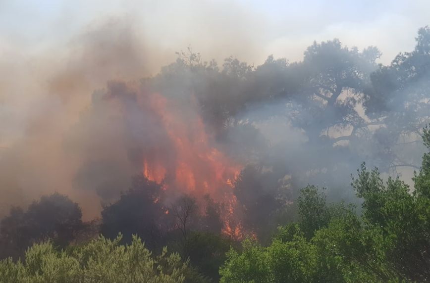 Φωτιά στον Έβρο: Βελτιωμένη η εικόνα κι επιστροφή των εναέριων μέσων στην επιχείρηση κατάσβεσης