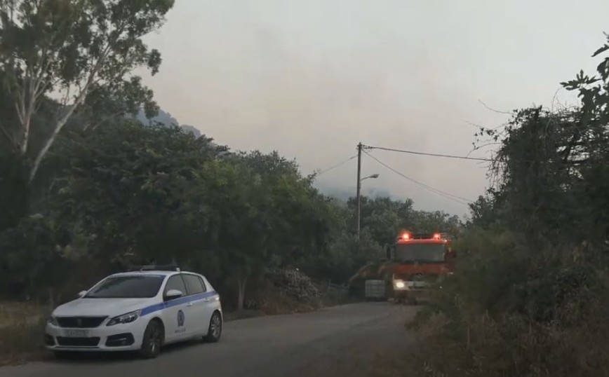 Αγρίνιο: Σε εξέλιξη η φωτιά στην περιοχή Θυρίου &#8211; Περισσότεροι από 80 πυροσβέστες στη «μάχη» με τις φλόγες