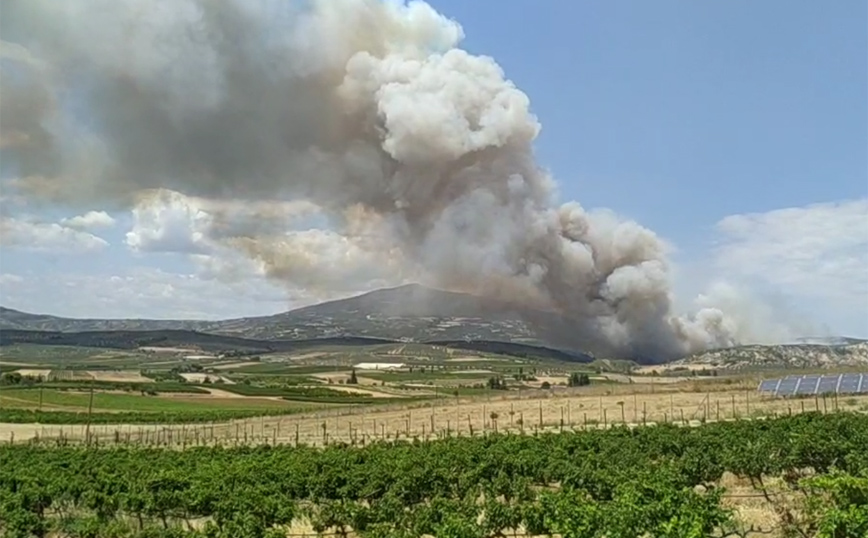 Φωτιά τώρα στο Καλέντζι Κορινθίας &#8211; Δείτε τις πρώτες εικόνες