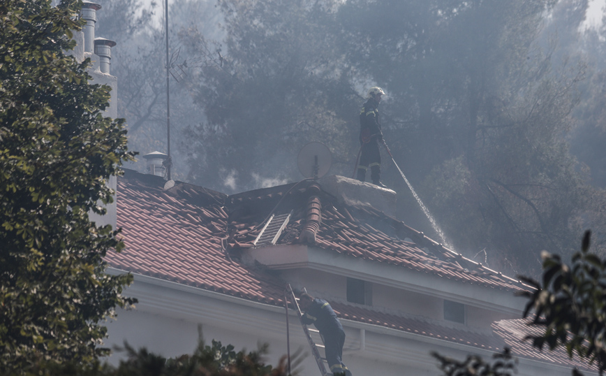 Πέτσας για φωτιά στη Σταμάτα: Ξέσπασε δίπλα σε κατοικίες &#8211; Θα μπορούσε να είχε γίνει «Μάτι»