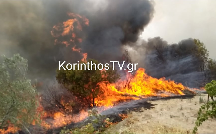 Φωτιά στο Καλέντζι Κορινθίας: Μαίνεται η πυρκαγιά &#8211; Ολονύχτια μάχη με τις φλόγες